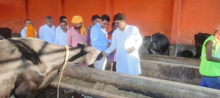 कान्हा गोशाला चिउरहा में आगमन पर आलोक कुमार अधिशासी अधिकारी नगर पालिका परिषद महराजगंज द्वारा स्वागत किया गया.